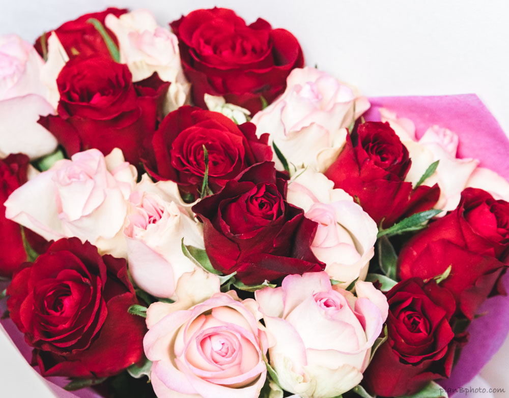 Red and white roses bouquet for Valentines day