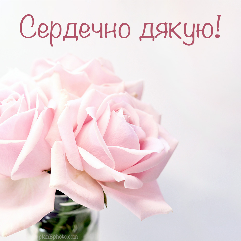 Ніжна листівка з трояндами
