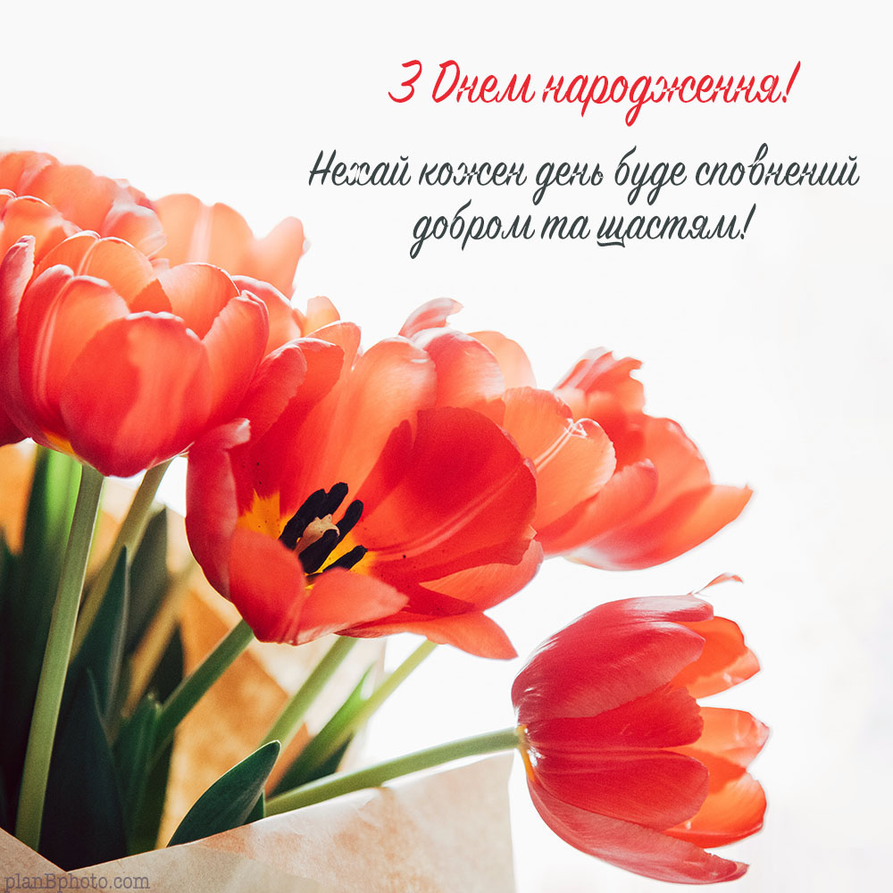 Побажання щастя та добра з тюльпанами