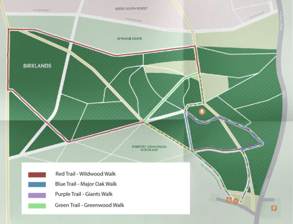 Map of walks and trails in Sherwood Forest, England