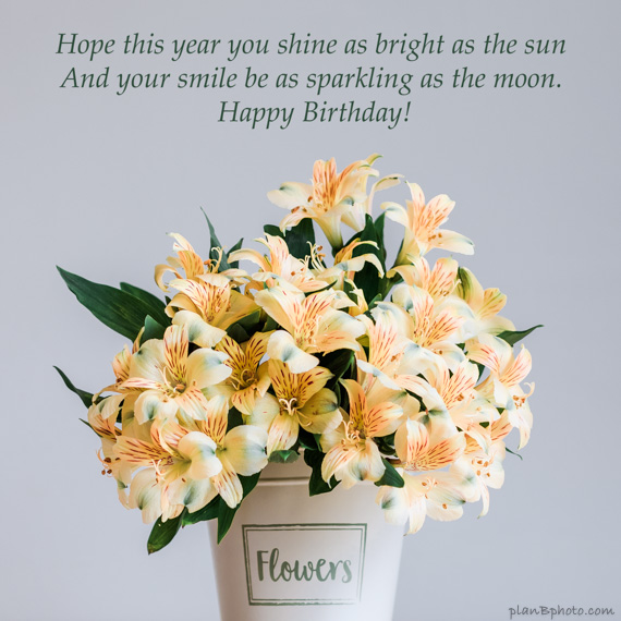 Birthday wish: shine bright as the sun