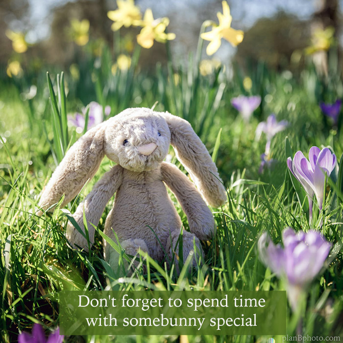 Image with a rabbit sitting in a field of spring flowers with a message to somebunny special