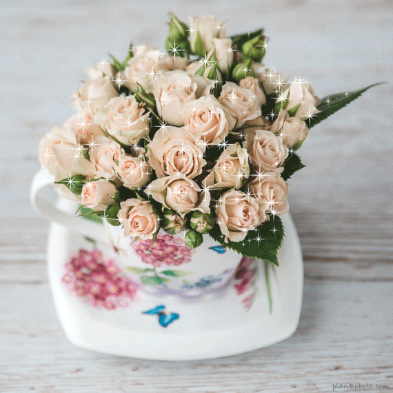 Pink roses in a teacup sparkling gif image