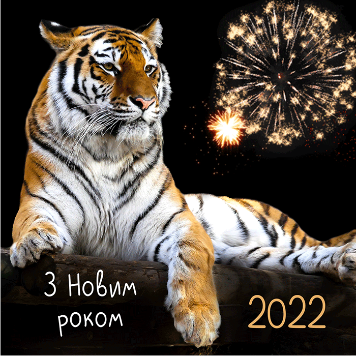 Новорічна картинка до року тигра з феєрверком