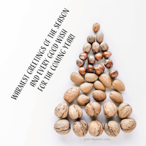 Christmas tree made of various nuts with holiday sentiments