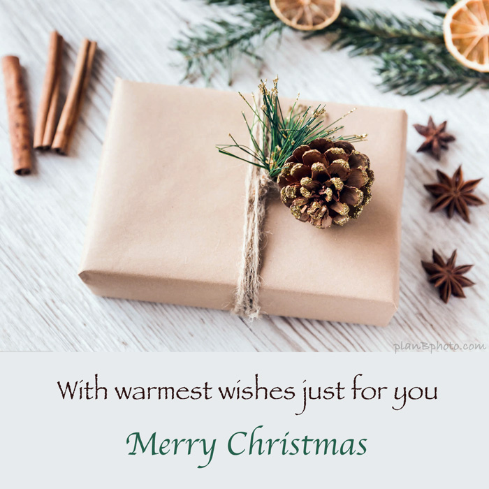 Image with dried oranges, cinnamon sticks and the warmest Christmas wishes