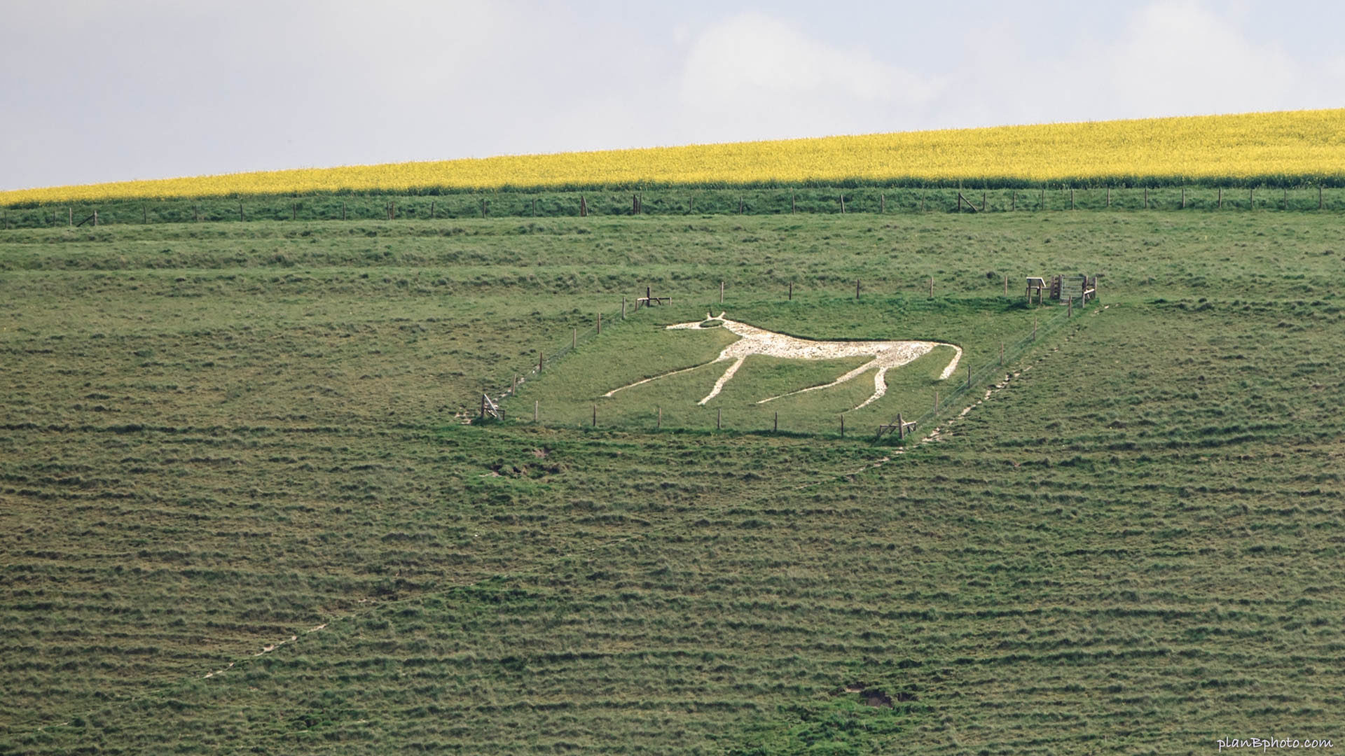 White Horse hill figure in England