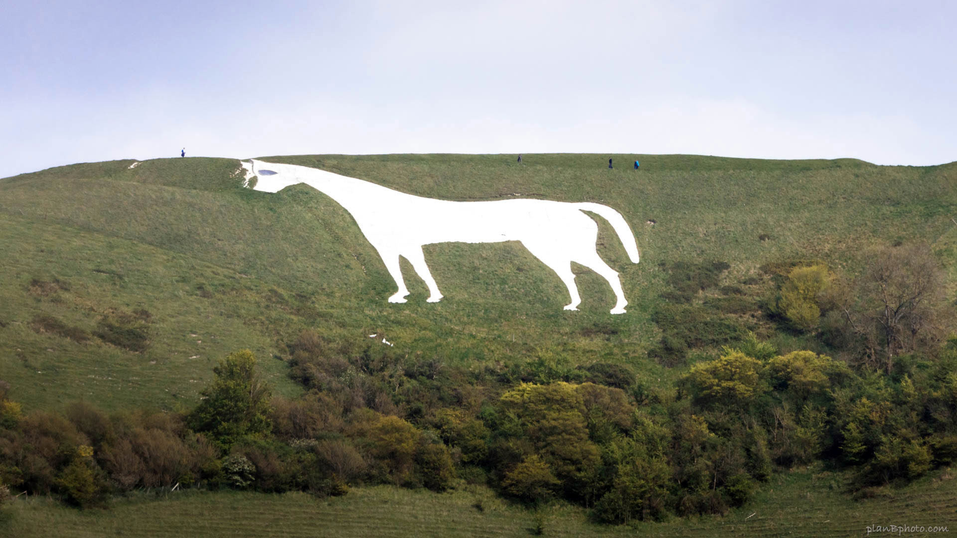 Giant Hill Figures Of White Horses In England In Photos