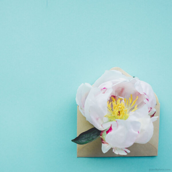 Envelope with peony flower on blue background