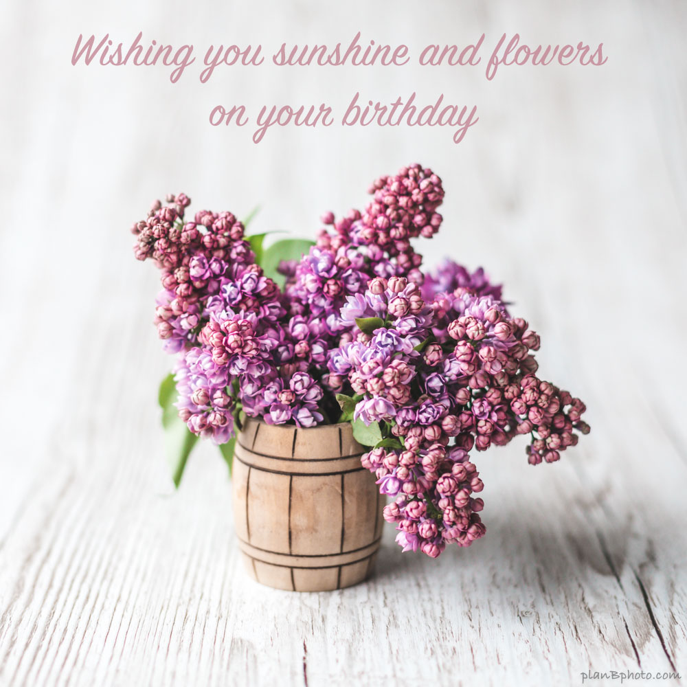 Birthday wish with lilac flowers