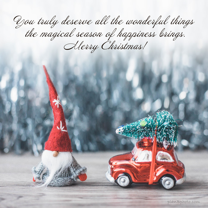 Christmas wish for wonderful things with a red car carrying a Christmas tree on a silver background