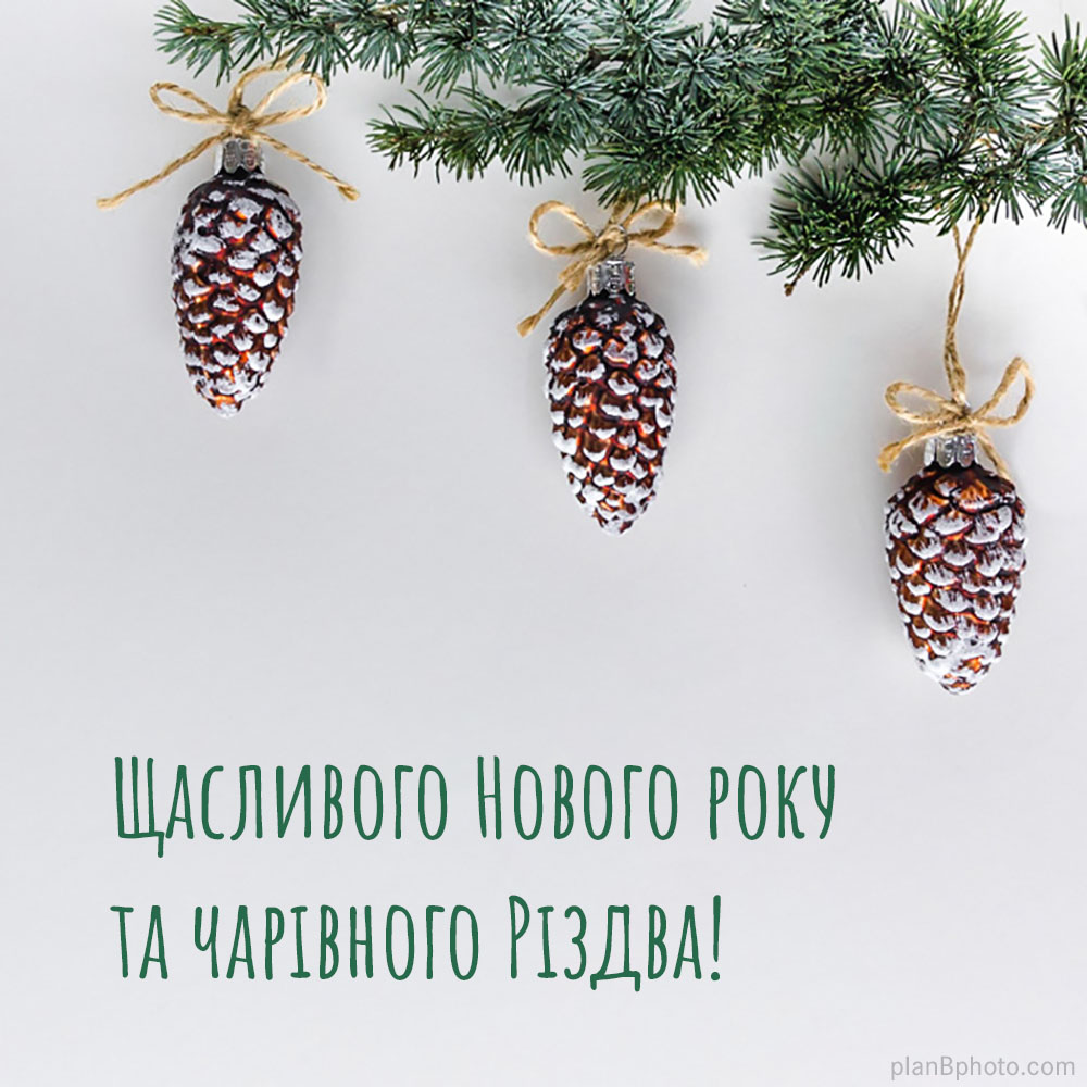 Winter holidays greeting in Ukrainian language with pine-cones 