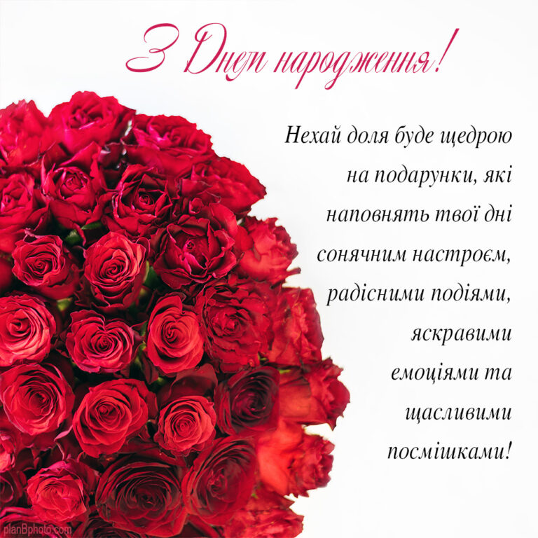 Вітання з букетом троянд багряно-червоного кольору