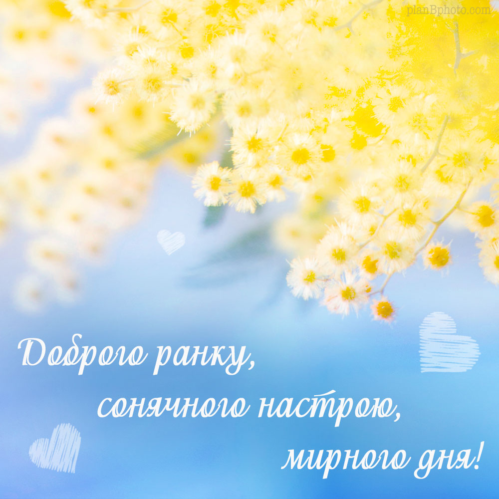 Доброго ранку та мирного дня картинка українською мовою