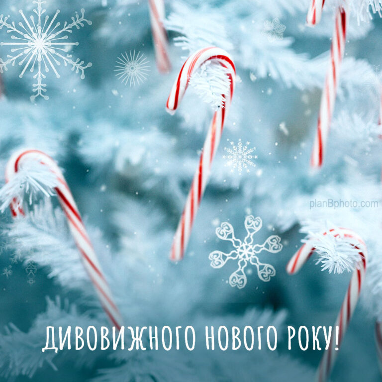 Wishing a wonderful new year in Ukrainian