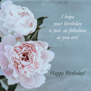 Happy birthday card messages - Plan B Photo