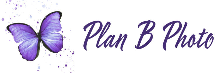 logo planB