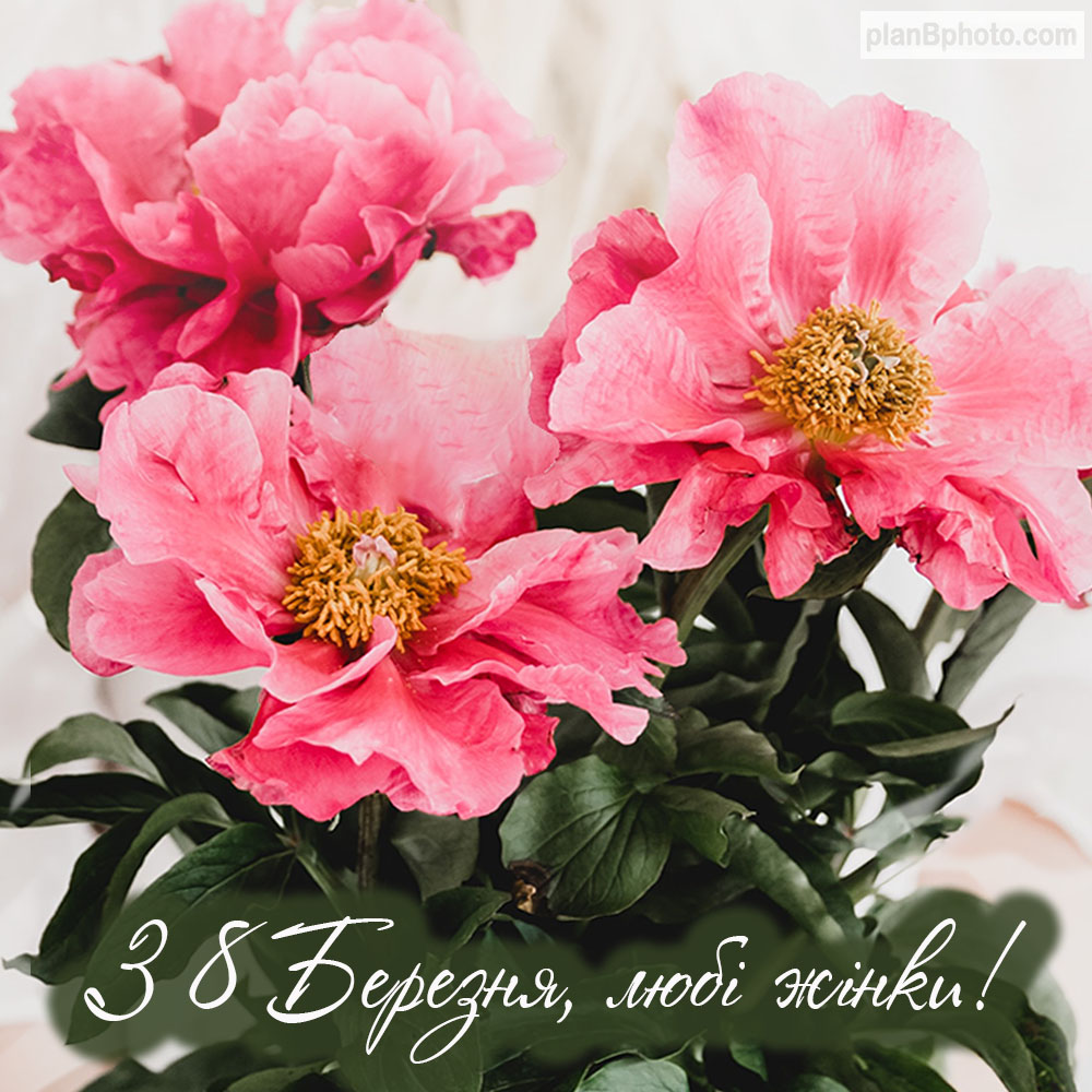 Литівка з квітами та вітанняи з 8 березня жінкам