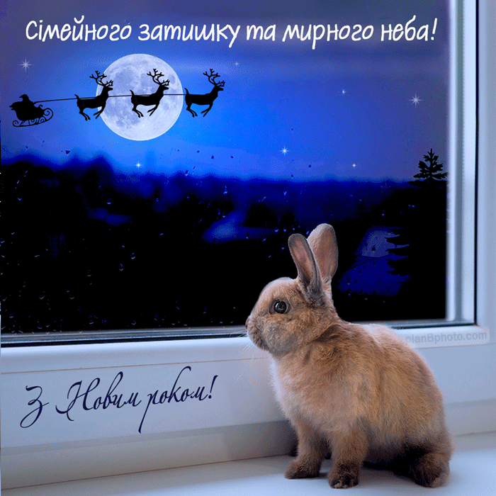 Чарівна анімація з кроликом та побажанням мирного неба в новому році