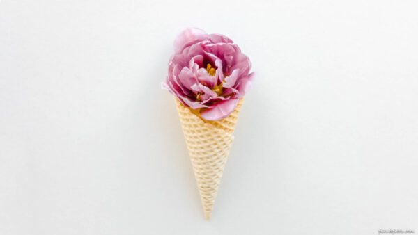 Flowers in an ice cream cone on white background