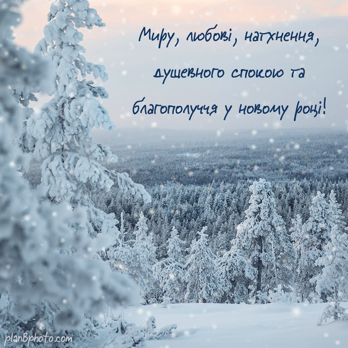 Happy New Year wish in Ukrainian
