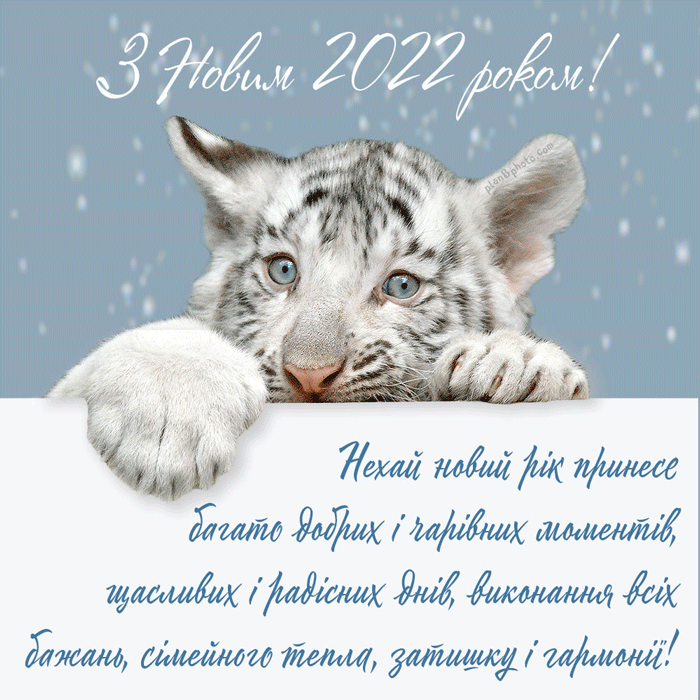 Анімація з білим тигром та снігом з Новим роком 2022