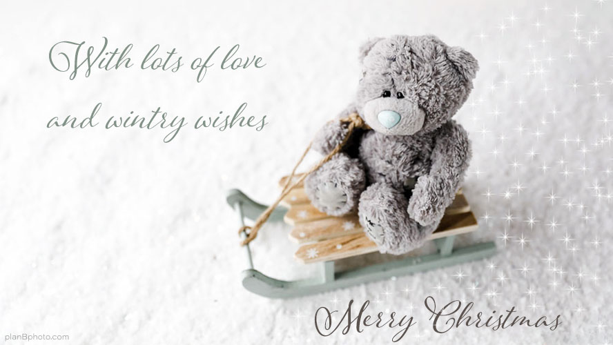 Christmas wish with a teddy bear in a sled