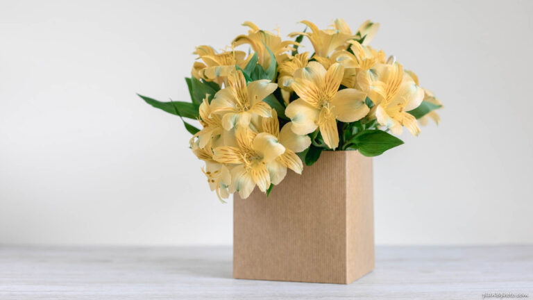 Yellow flowers in a box
