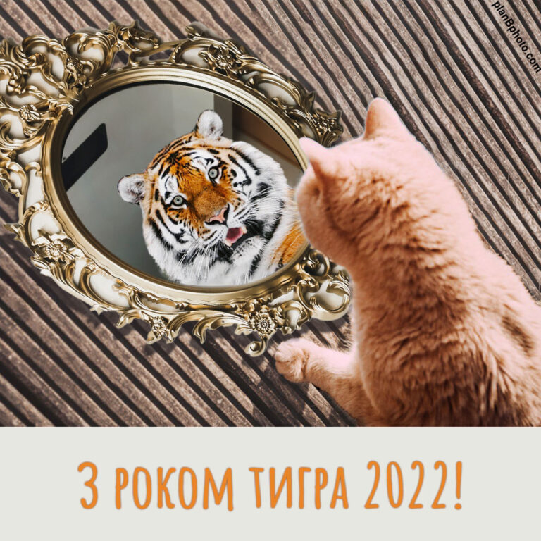 Гарна картинка з роком тигра 2022